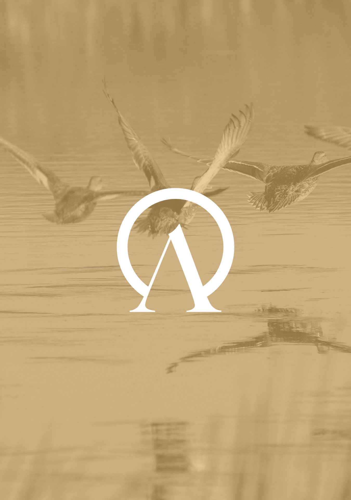 Agape – Primary logo, Mark and Hat image 1