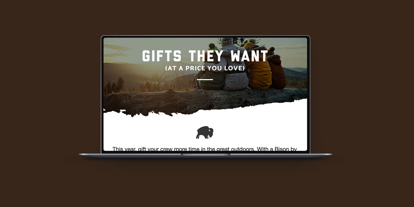 Bison Email Header Design