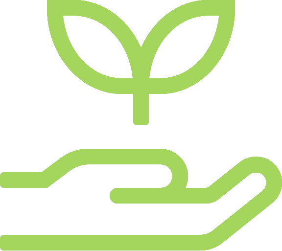 A green outline of a hand holding a sprouting plant, symbolizing growth, support, or environmental care—reflecting the commitment to sustainability by TFNB. Updated 2025.